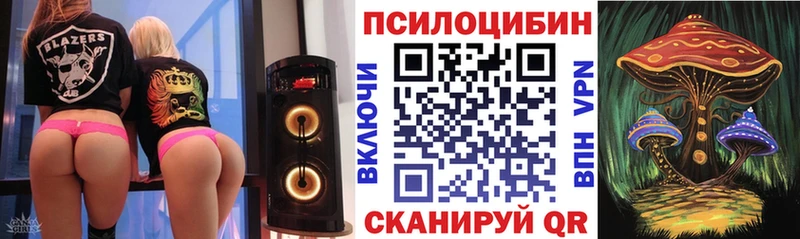 где можно купить   Северск  Псилоцибиновые грибы Psilocybine cubensis 